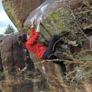 Meet your Posher, Sydney